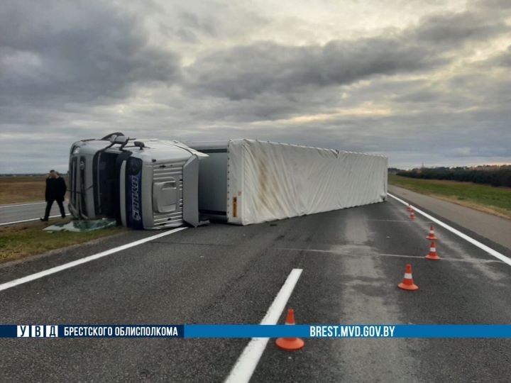 Отвлекся от управления. Водитель из Польши попал в ДТП в Брестской области
