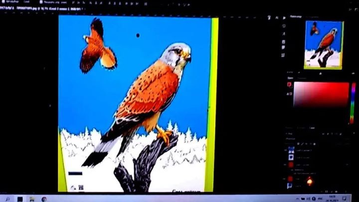 В Бресте на Набережной начали наносить граффити с соколом пустельгой