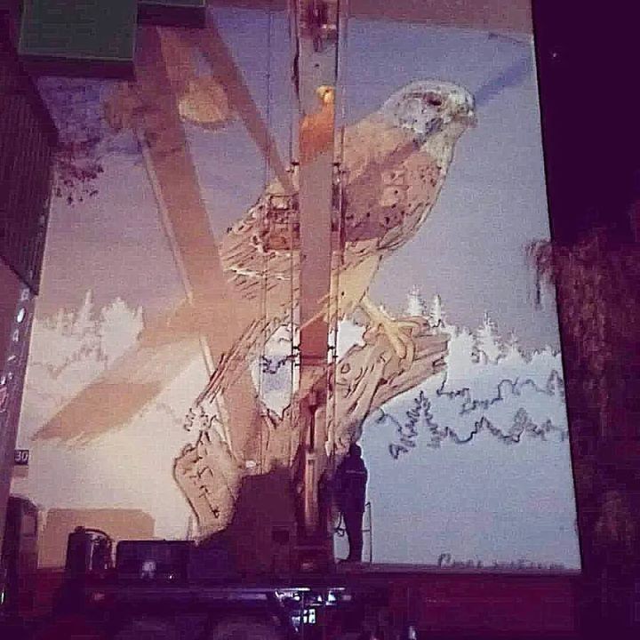 В Бресте на Набережной начали наносить граффити с соколом пустельгой