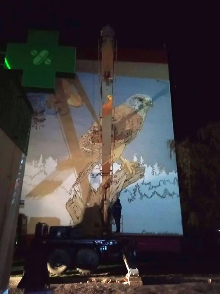 В Бресте на Набережной начали наносить граффити с соколом пустельгой