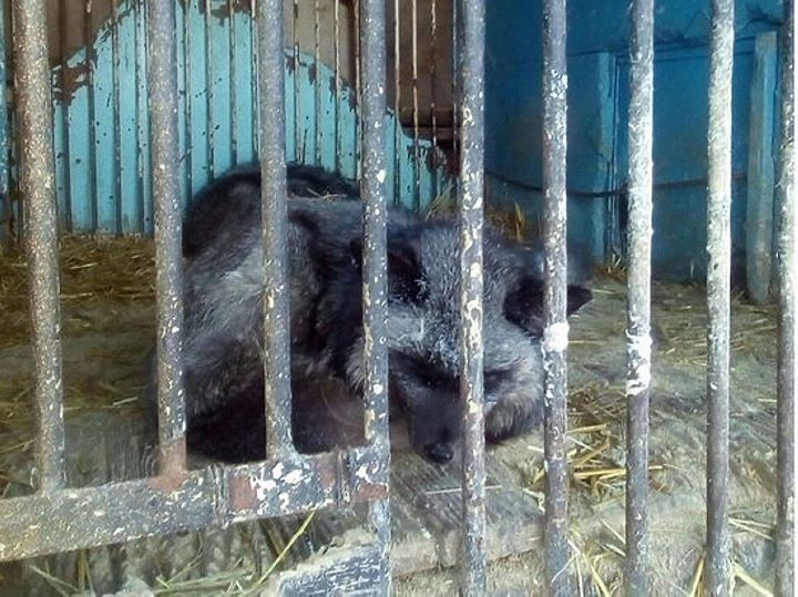 Фото из открытых источников (иллюстрация)