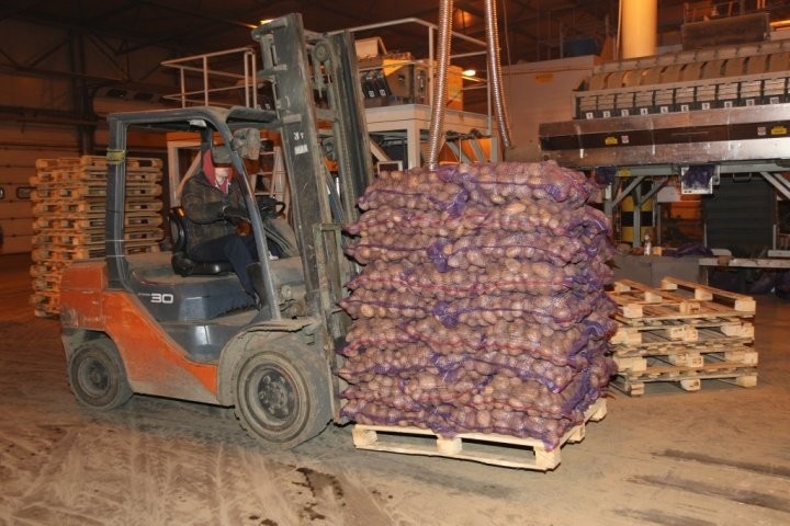 Фото из открытых источник (иллюстративное)