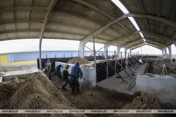 Малоритский район. Как в агрогородке Луково сельчане в трудах осень проводят.