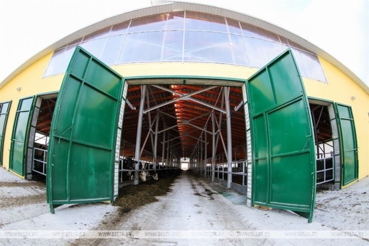 Малоритский район. Как в агрогородке Луково сельчане в трудах осень проводят.