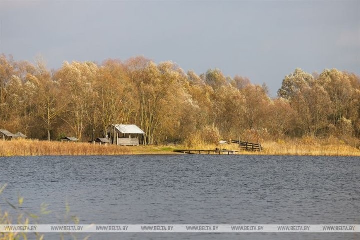 Малоритский район. Как в агрогородке Луково сельчане в трудах осень проводят.