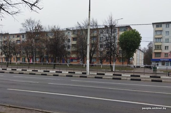 В Беларуси появилось дерево, которое упорно не желает желтеть