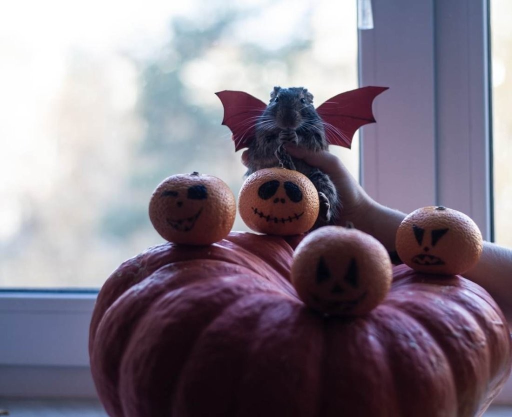 Белорусы украсили офисы и дома к Хэллоуину. Смотрите, как получилось