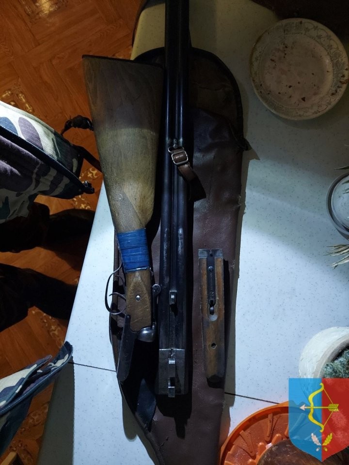 Браконьер застрелил беременную лосиху в Дрогичинском районе. Опубликованы фото