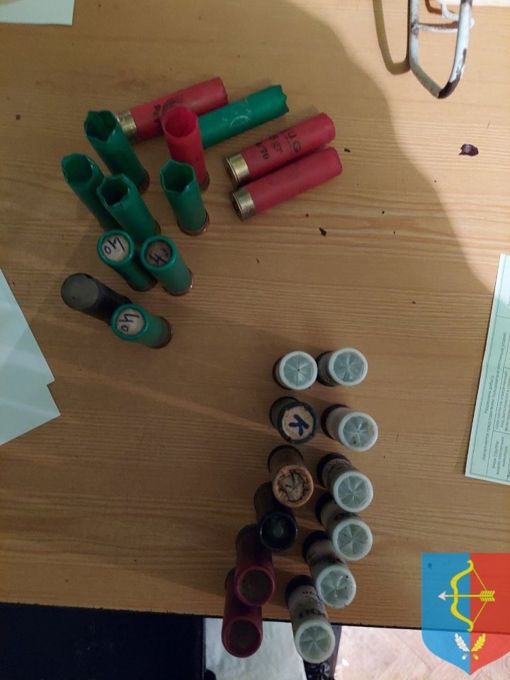 Браконьер застрелил беременную лосиху в Дрогичинском районе. Опубликованы фото