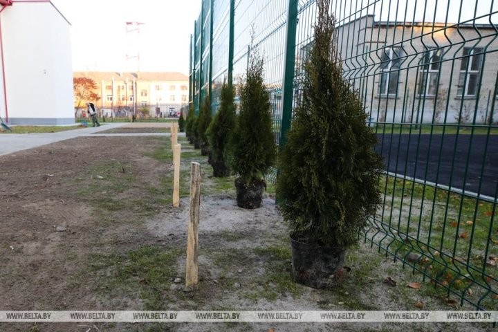 Жители Бреста вышли на городскую экологическую акцию