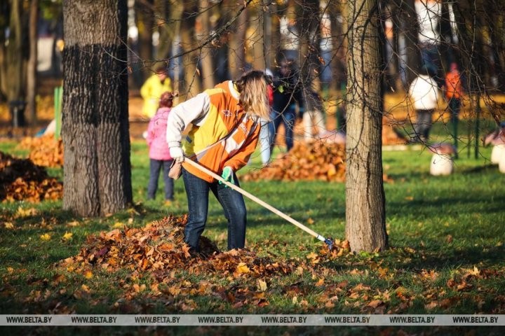 Жители Бреста вышли на городскую экологическую акцию