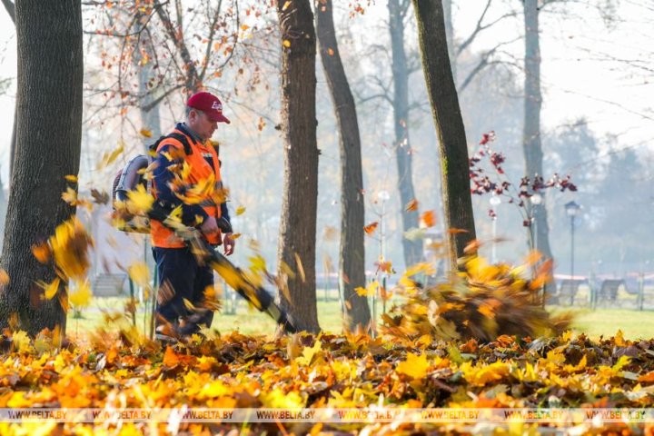 Жители Бреста вышли на городскую экологическую акцию