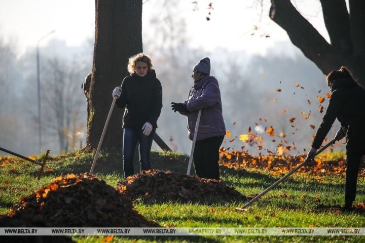 Жители Бреста вышли на городскую экологическую акцию
