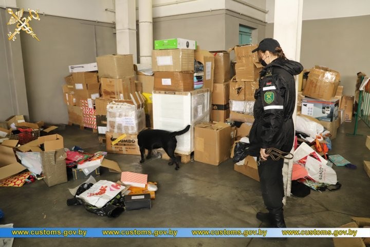 Гашиш среди детских игрушек выявили брестские таможенники
