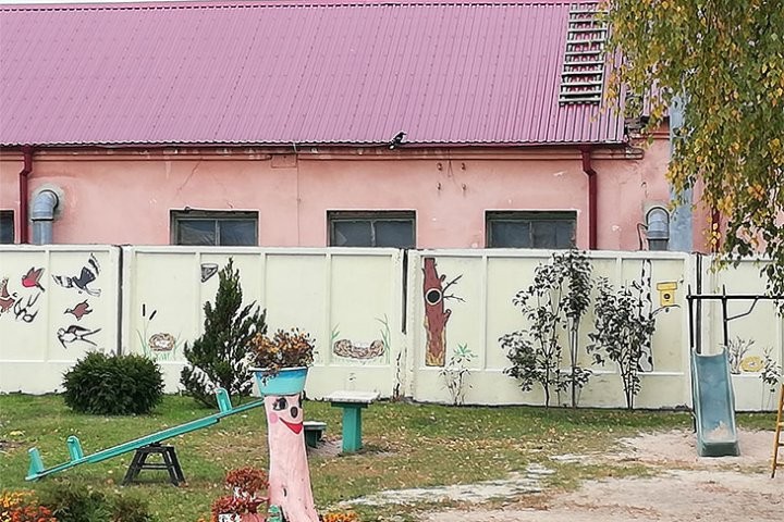 На площадке детского сада в Кобрине заметили грача-альбиноса, не растерялись и сфотографировали редкое пернатое