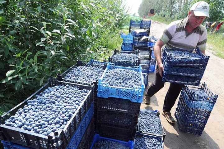 Названы победители конкурса «Предприниматель года 2020» — среди них пять представителей Брестчины