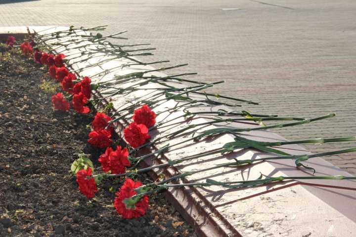 В Каменце прошли мероприятия, посвященные Дню Октябрьской революции