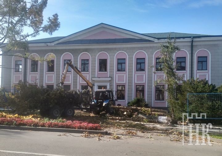 У здания районо в Каменце спилили около полутора десятка деревьев