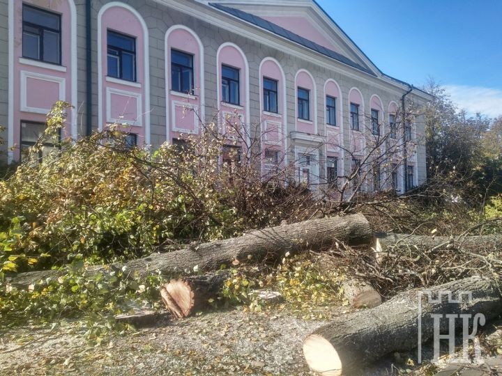У здания районо в Каменце спилили около полутора десятка деревьев