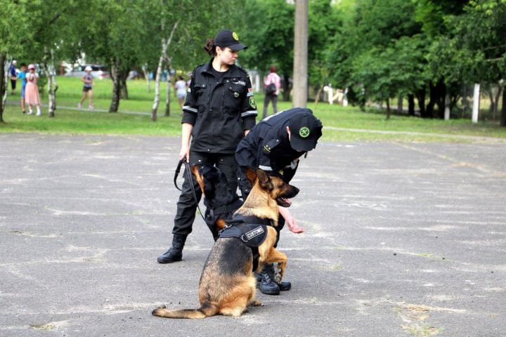 Фото из открытых источников