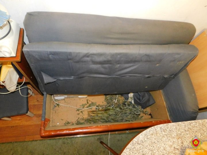 У жителя Каменецкого района украли 1300 долларов, спрятанные в диване