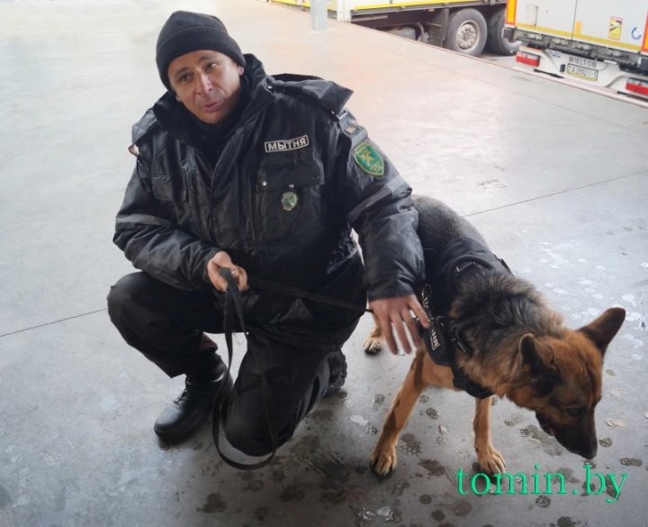 Будни Брестской таможни: как работают «Козловичи» и другие ПТО в пандемию