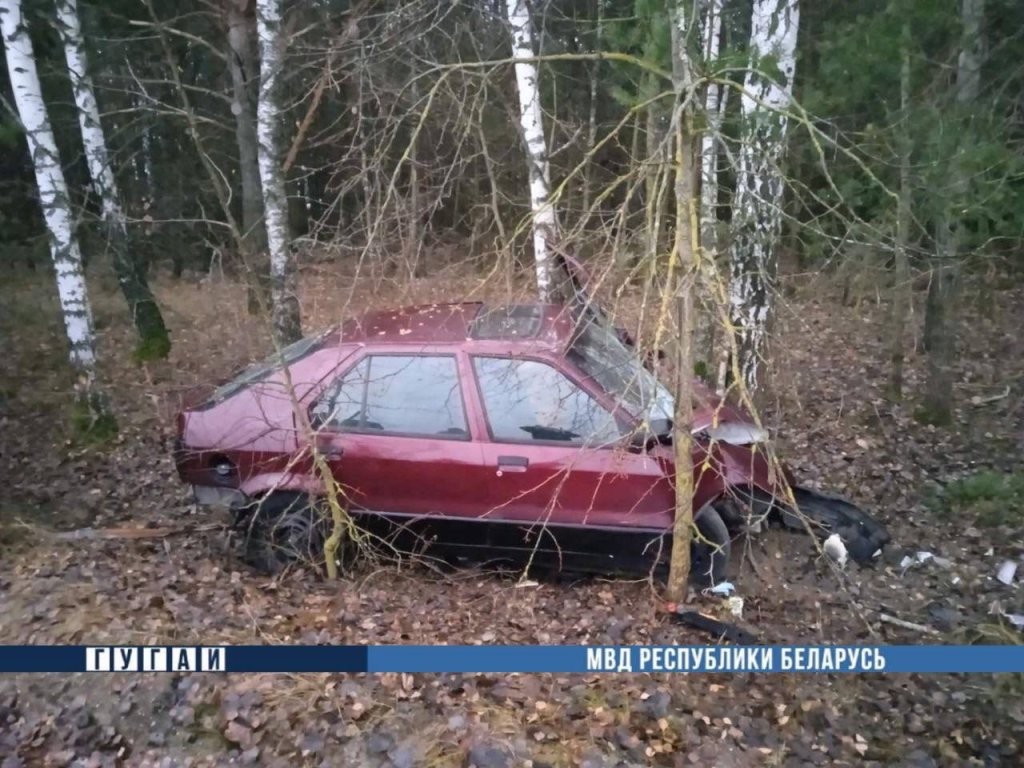 В Брестской области 19-летний водитель водитель врезался в дерево