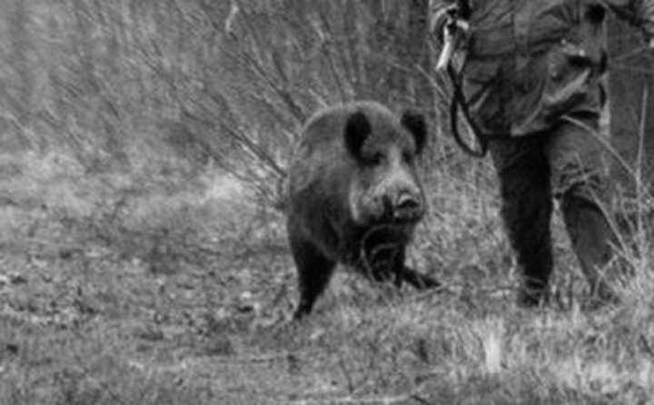 Фото из открытых источников (иллюстративное)