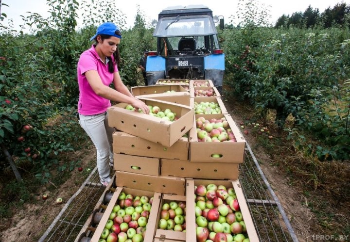 Фото Виталия Гиля