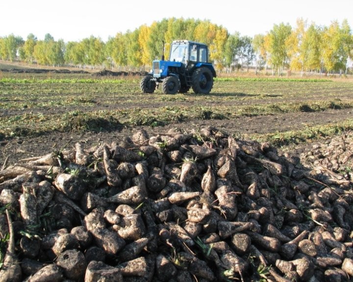 Фото из открытых источников (иллюстративное)