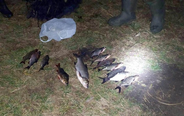 Рыболова-браконьера задержали на Брестчине