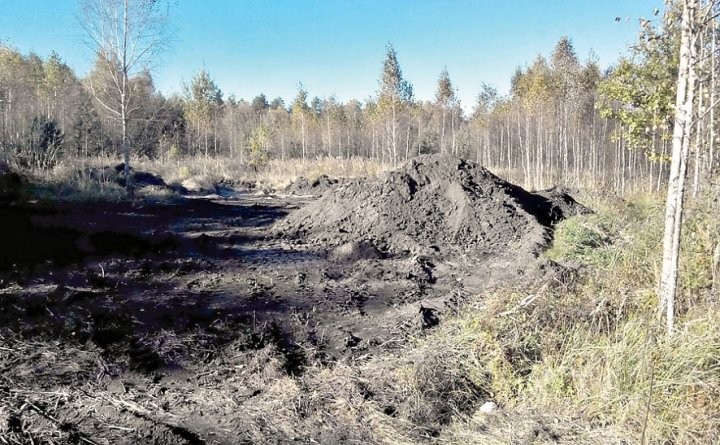 Фото носит иллюстративный характер (sb.by)