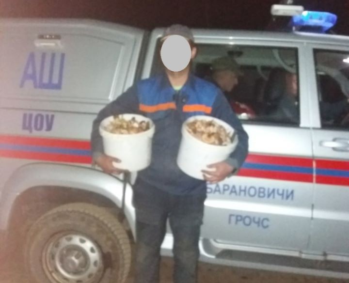 Найден грибник, который потерялся в Брестской области