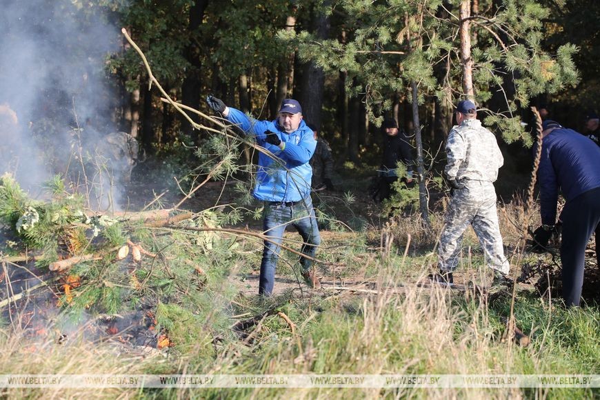 В окрестностях Бреста присоединились к акции «Чистый лес»