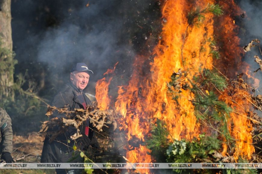 В окрестностях Бреста присоединились к акции «Чистый лес»