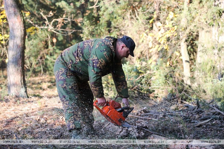 В окрестностях Бреста присоединились к акции «Чистый лес»