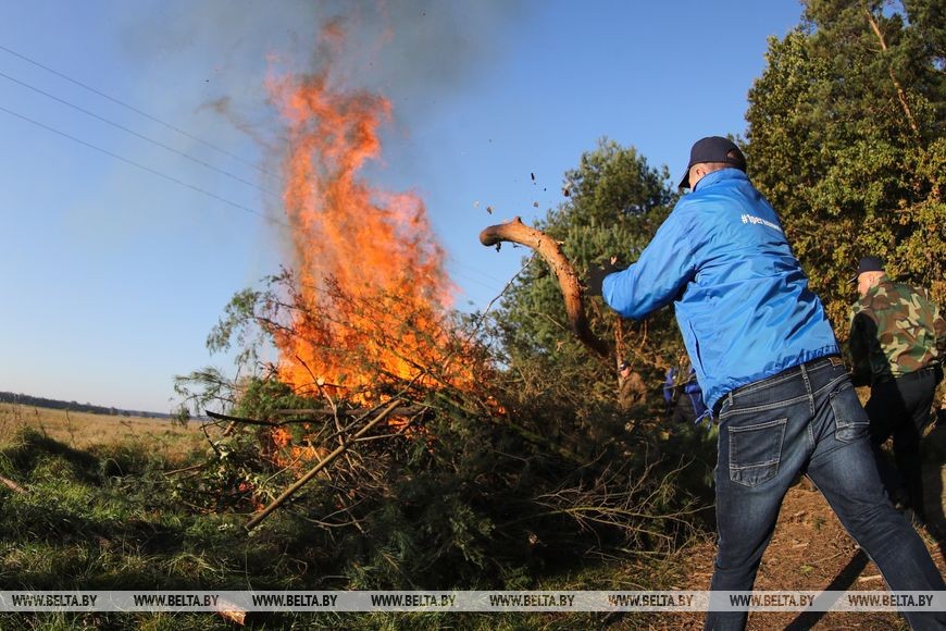 В окрестностях Бреста присоединились к акции «Чистый лес»