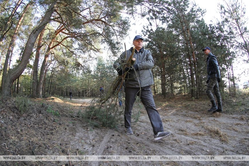 В окрестностях Бреста присоединились к акции «Чистый лес»