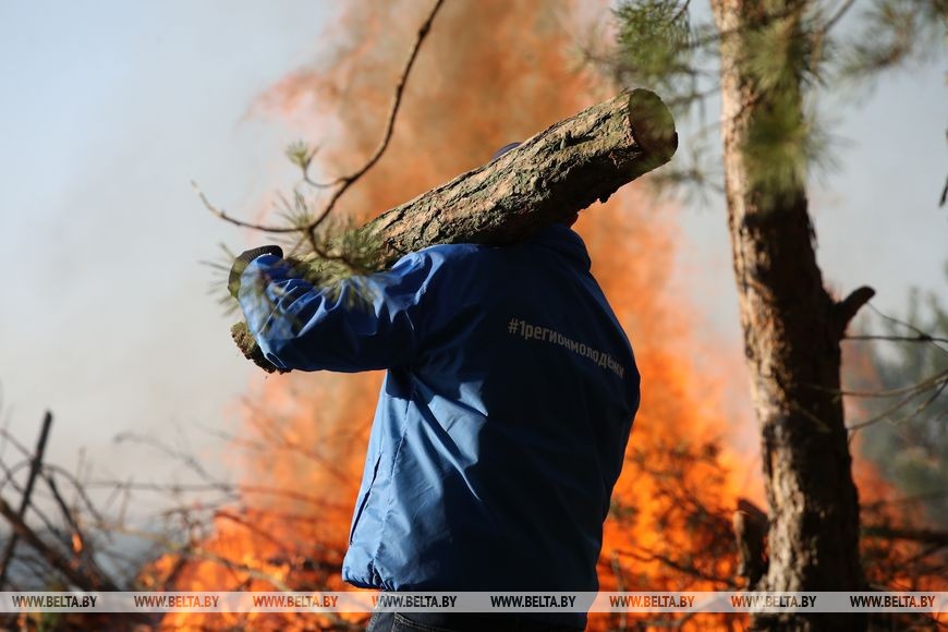 В окрестностях Бреста присоединились к акции «Чистый лес»