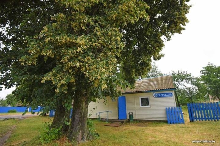 Несуществующие вклады на 260 тысяч рублей и 63 пострадавших. Подробности громкой деревенской пирамиды