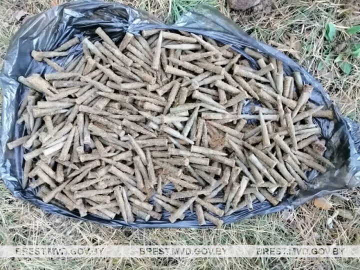 Арсенал времен войны обнаружили по Брестом