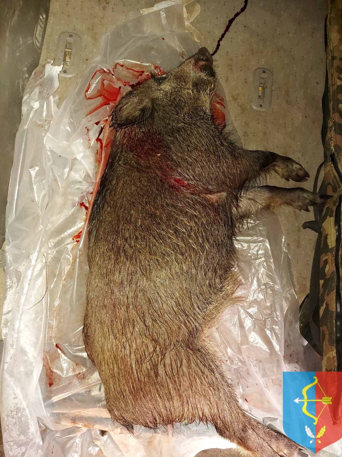 В Пинском районе задержан подозрительный автомобиль