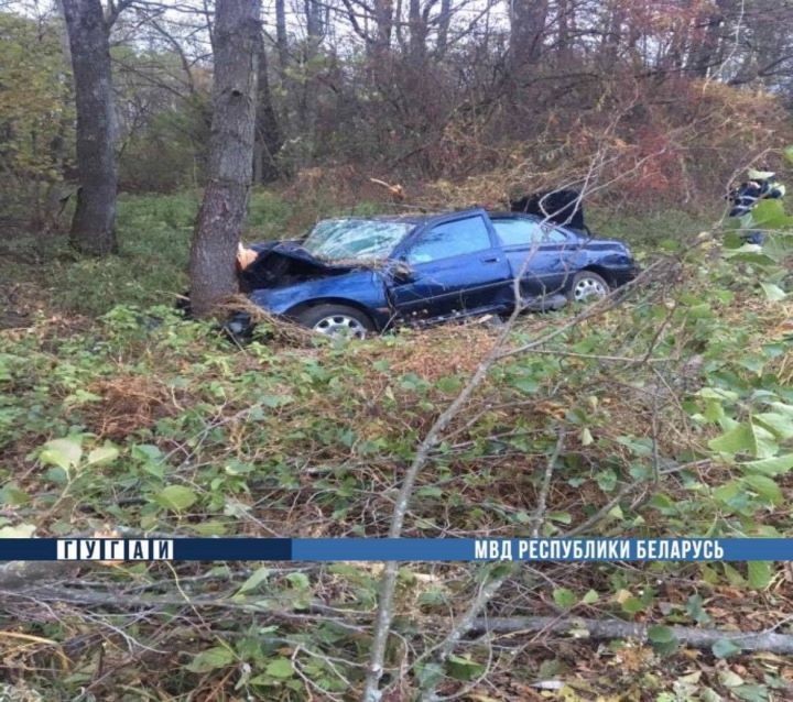 В Брестской области пьяный водитель врезался в дерево
