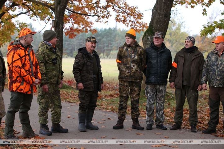 Загонная охота на копытных прошла 16 октября на территории национального парка «Беловежская пуща»