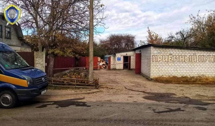 Задержана гомельчанка, выбросившая новорожденного сына в яму туалета