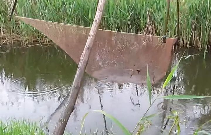 Фото из открытых источников (иллюстрация)