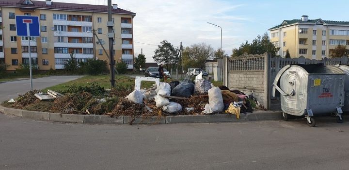 Проблемным вопросом в Малорите по-прежнему остаются свалки возле контейнерных площадок для сбора бытового мусора