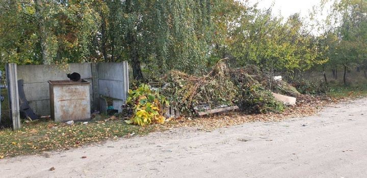 Проблемным вопросом в Малорите по-прежнему остаются свалки возле контейнерных площадок для сбора бытового мусора