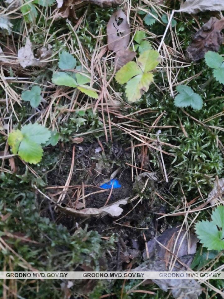 Жительница Бреста приезжала в Гродно для распространения наркотиков