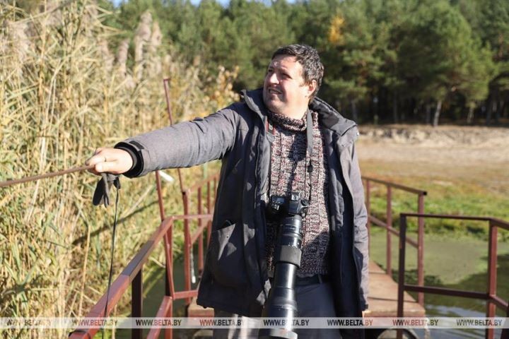 Серую неясыть впервые отловили на станции кольцевания «Ясельда»